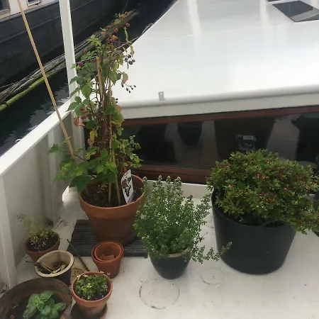 Sunny And Light Spacious Houseboat アパート